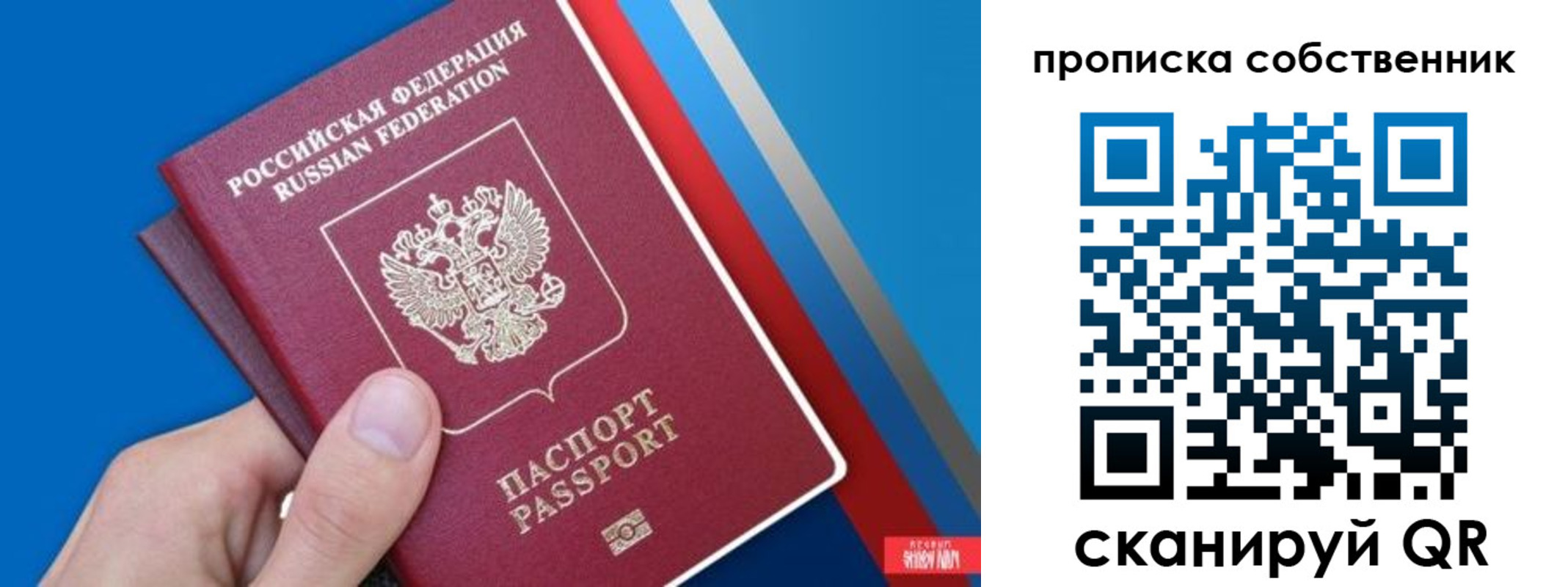 регистрация для школы в Петропавловске-Камчатском